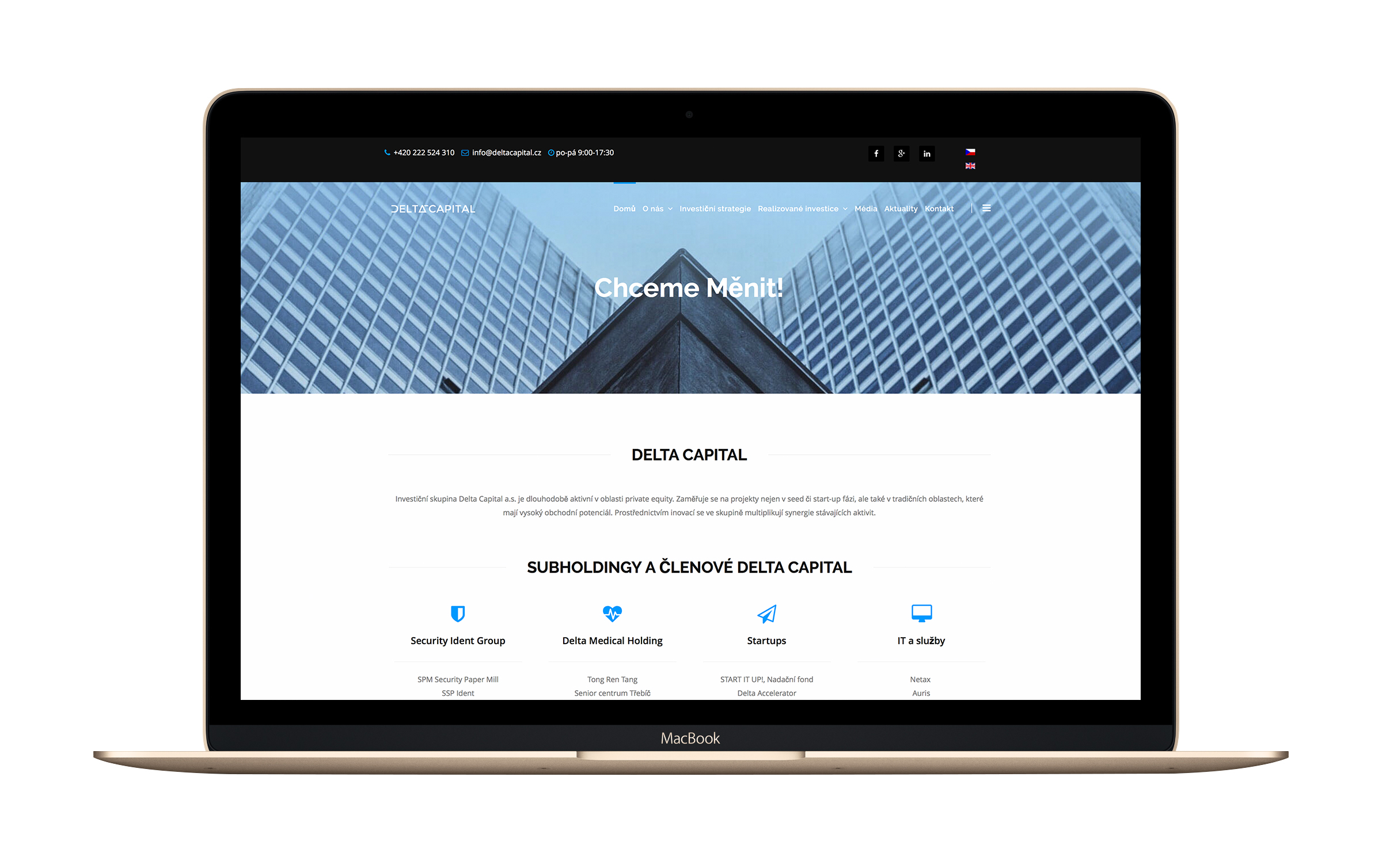 Delta Capital - Webdesign